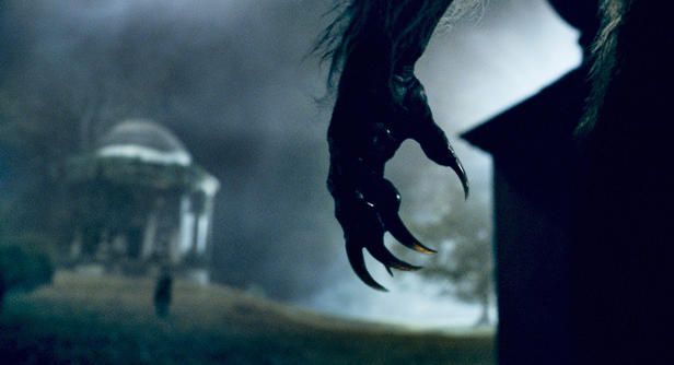 wolfman 24